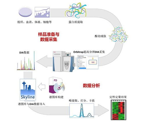 專注蛋白質組與代謝組技術服務，拜譜生物完成千萬元級Pre-A輪融資