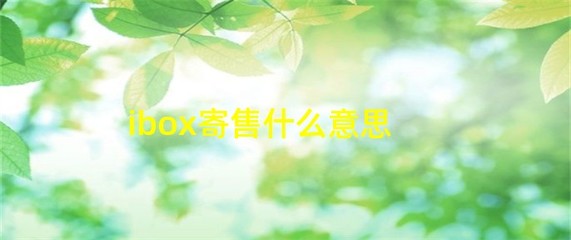 iBox 寄售服務解析 什么是受托寄賣？